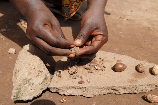 Beurre de Karité du Mali